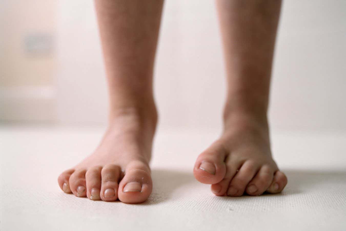 Child???????s Bare Feet DESCRIPTION Low section of child's bare feet against neutral background