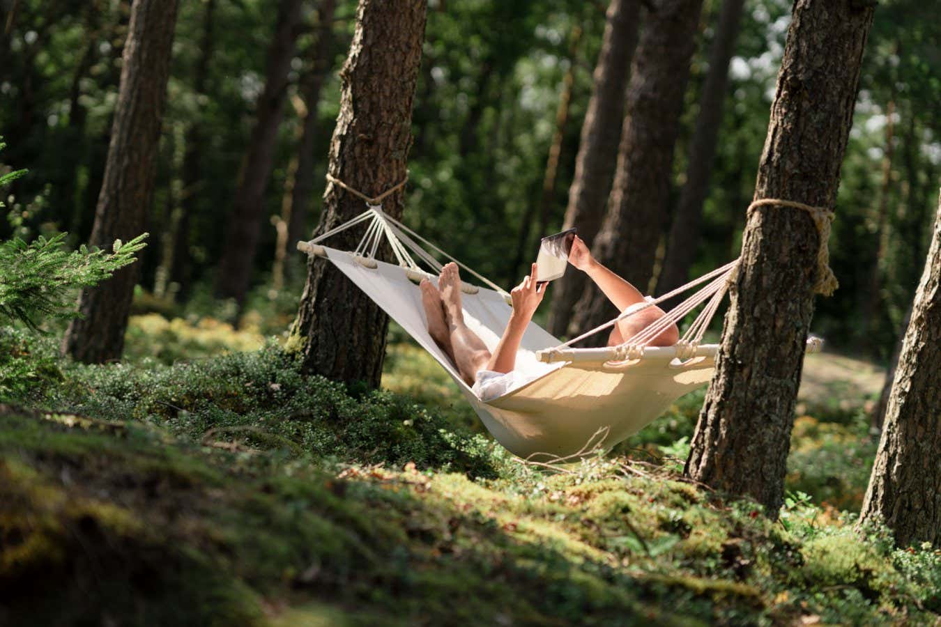 A man is lying in a hammock in the sun, he is reading a book on his digital tablet. The hammock is hanging in a beautiful green forest in Sweden.